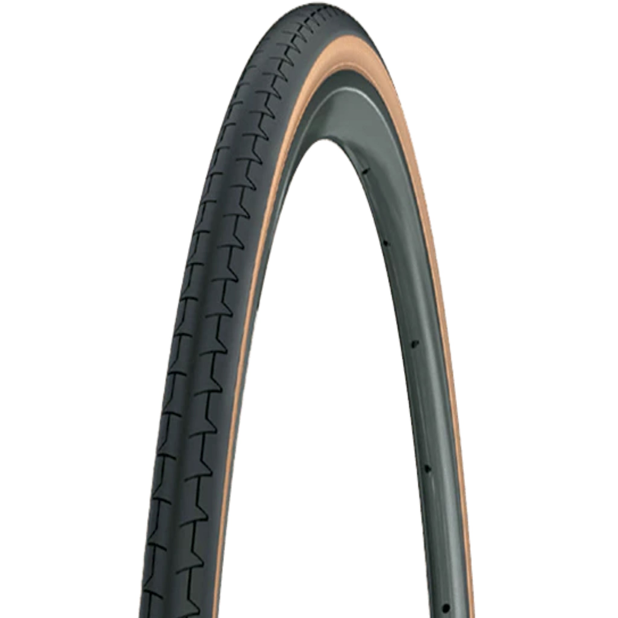 Michelin Dynamic Classic Translucent 700C SW Tire (Wet Conditions)