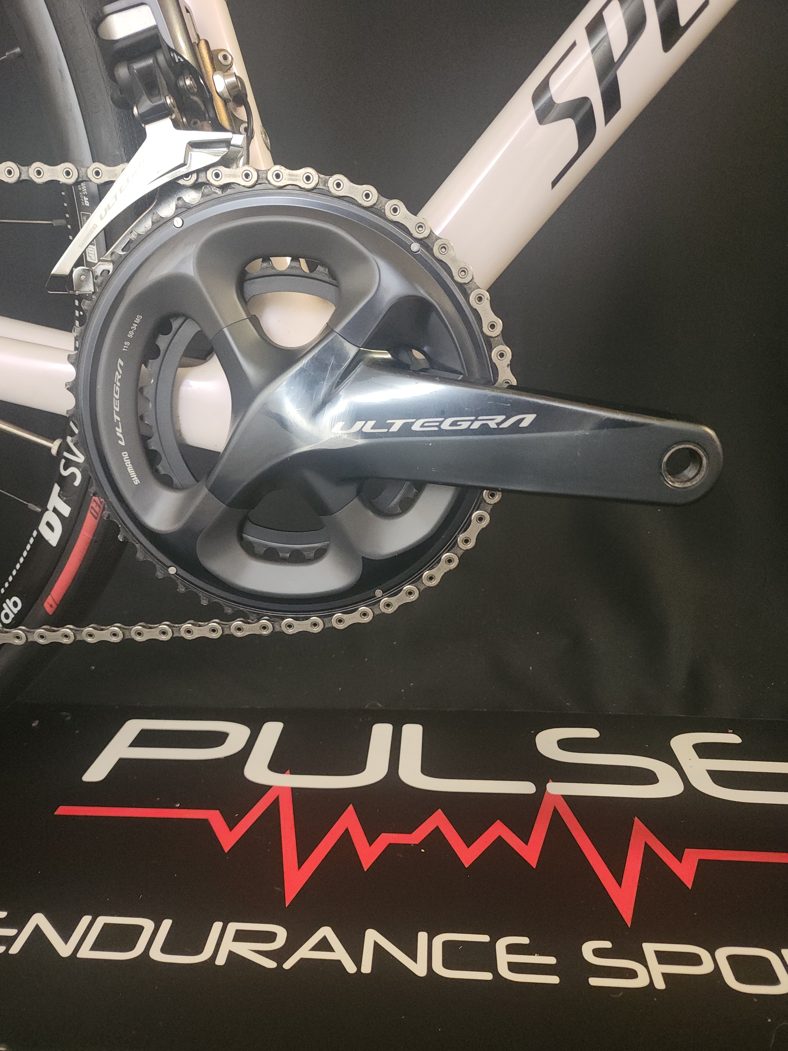 Pulse Endurance Sports